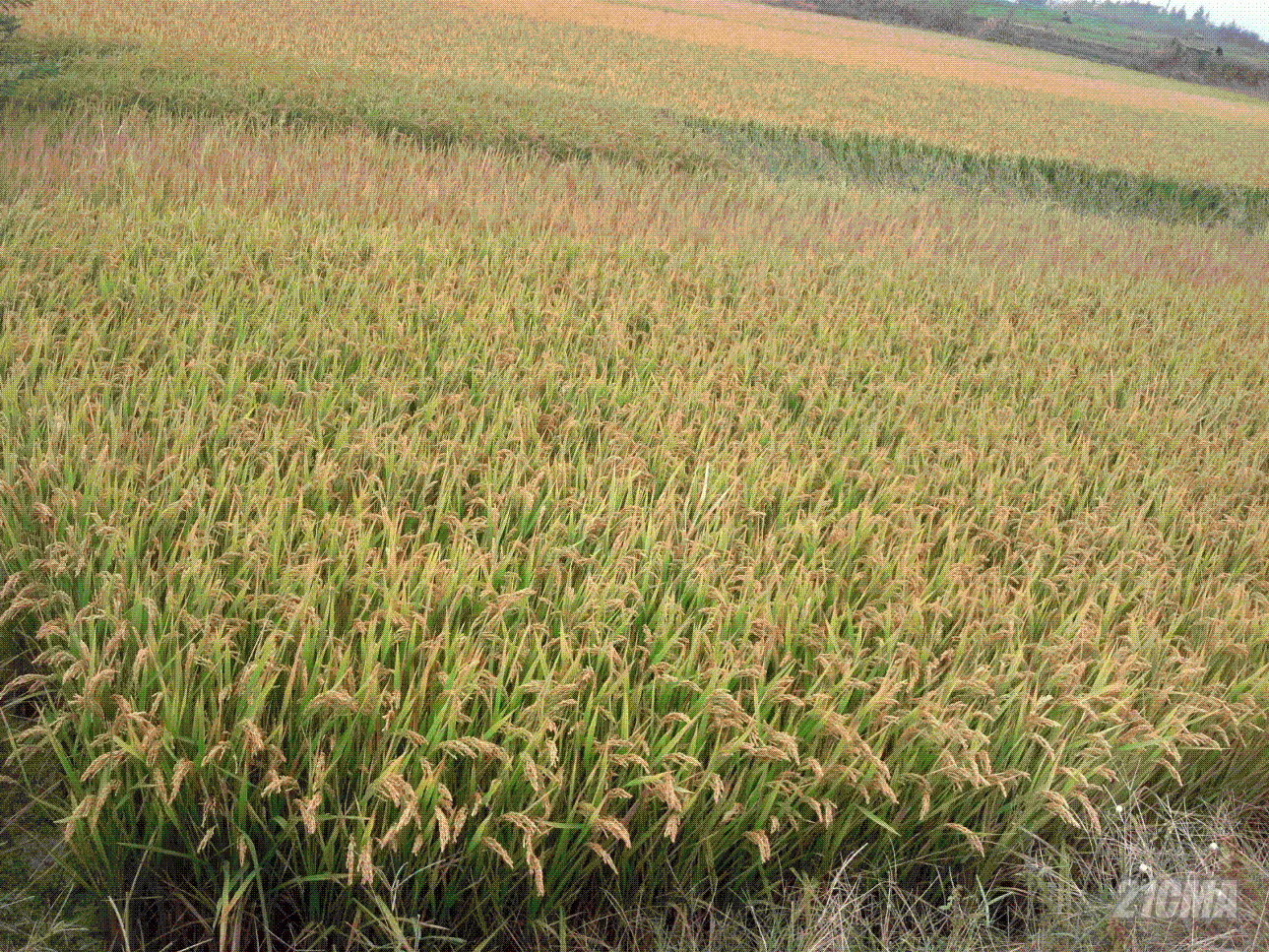 QQͼ20121107122355.GIF