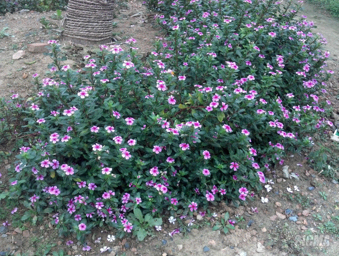 QQͼ20121107122427.GIF