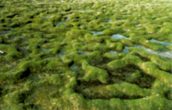 000ffe8c730309c3085a21.jpg