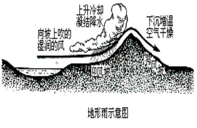 1111.jpg