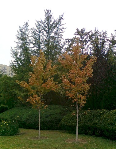 QQͼ20121021200335.jpg