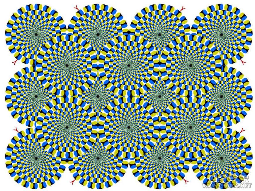20070703170639192.jpg